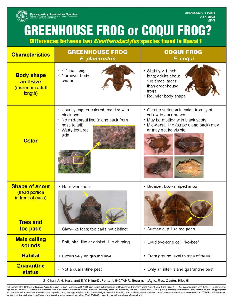 Chart comparing greenhouse frog vs coqui frog
