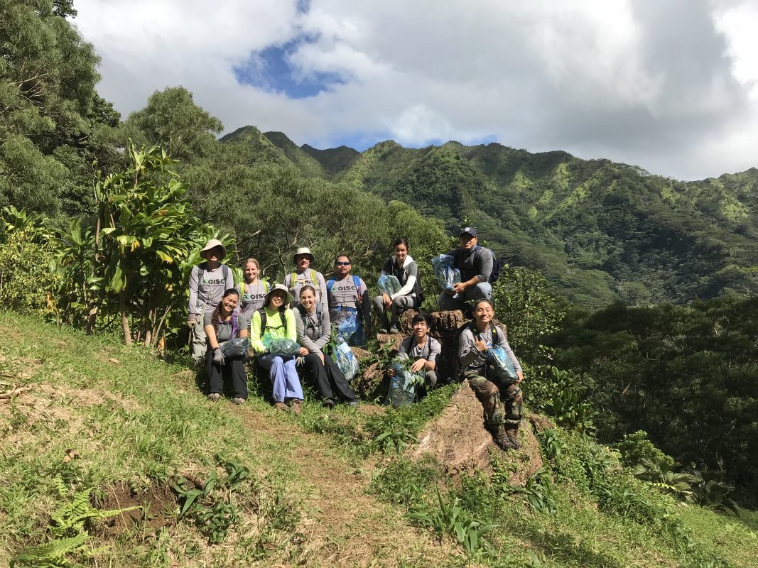 Volunteers at Lyon Arboretum