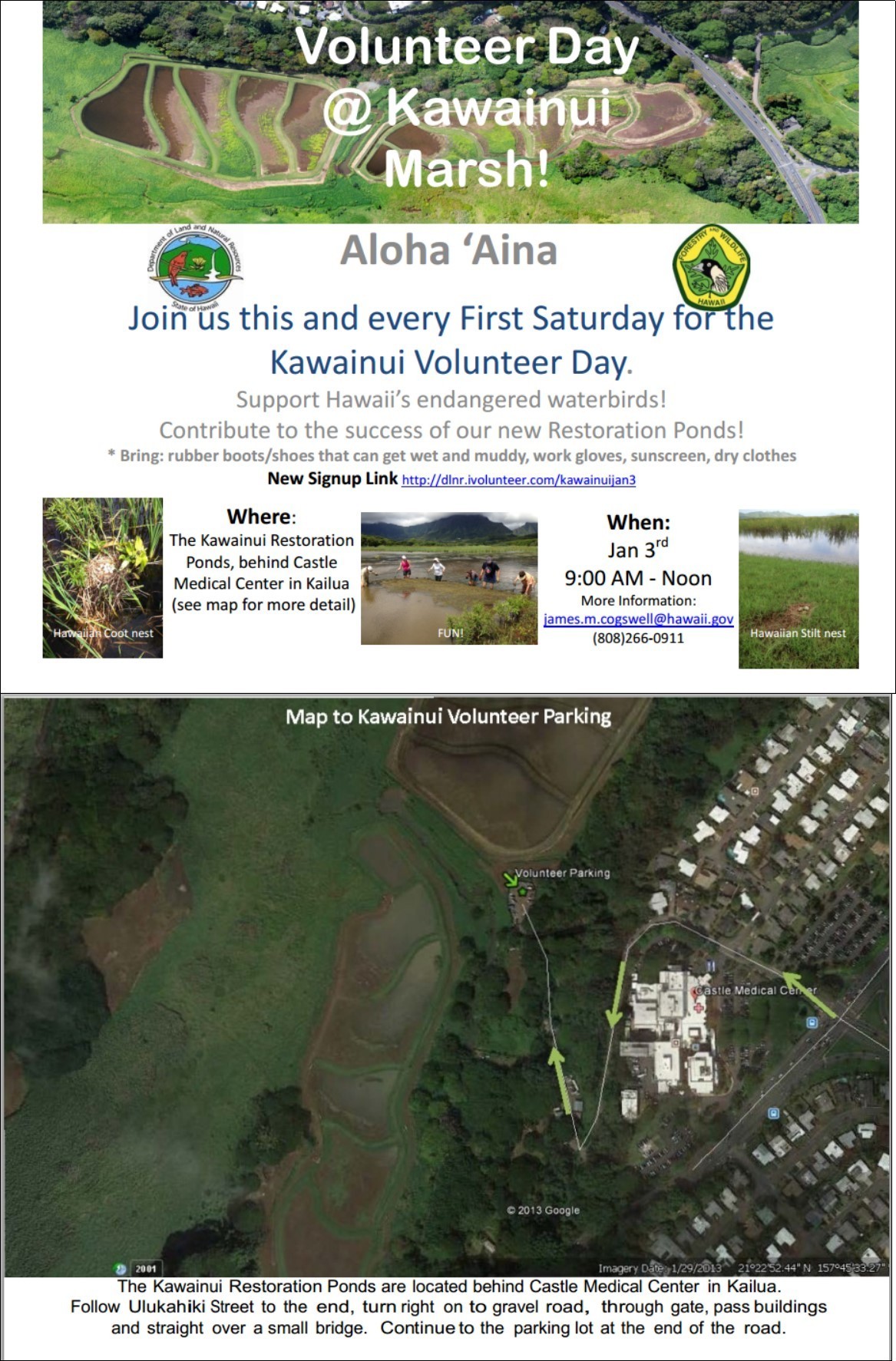 Volunteer Opportunity with DLNR; Saturday, Jan. 3rd at Kawainui Marsh
