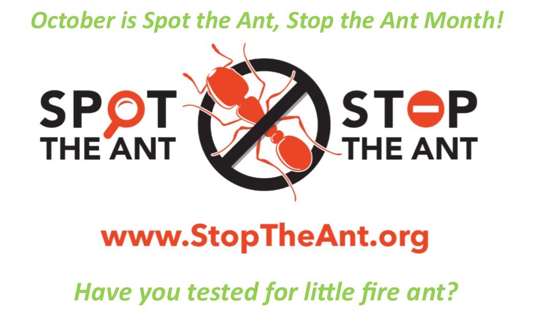 OCTOBER IS “SPOT THE ANT, STOP THE ANT MONTH”