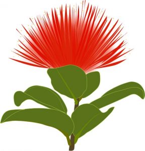 Ohia Graphic