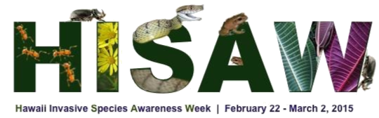 How can you participate in HISAW 2015? Here are 5 easy things you can do…