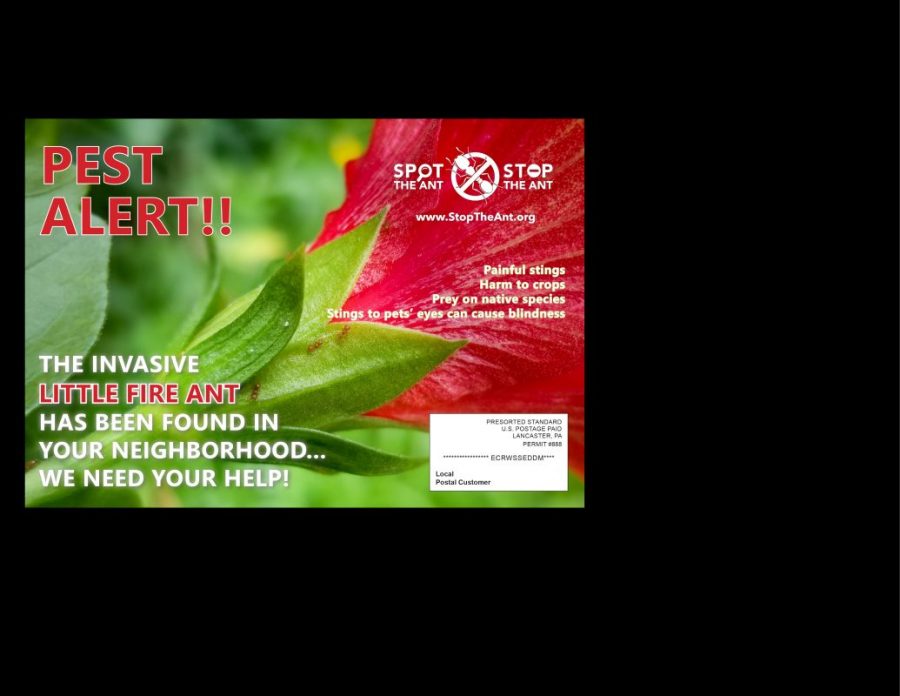 DID YOU RECEIVE A PEST ALERT POSTCARD IN THE MAIL?